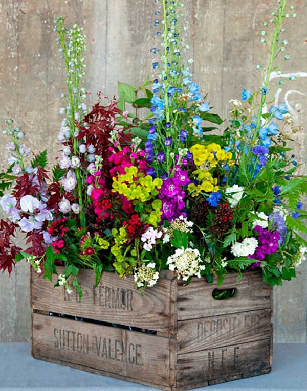 Flowers Fill a Vintage Wooden Crate | Delphiniums with Viburnum, Stocks, Euphorbia, Sweet Williams and British-Grown Foliages | New Covent Garden Market More